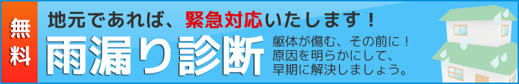 雨漏り診断